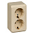ЭТЮД Розетка двойная наружная с заземлением со шторками крем