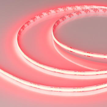 6i1e2ke5r6d3c32n50hqkkzp3f2vr5y3