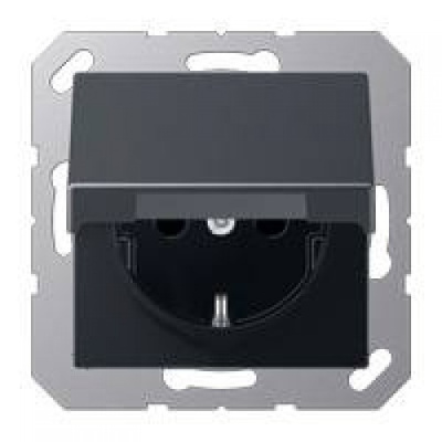 EP421KLAN розетка с крышкой