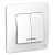 BLANCA Выключатель 2кл скр. уст. с подсветкой 10А 250В белый 