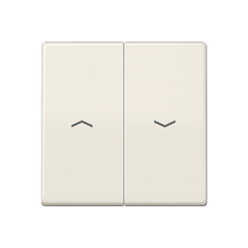 AS591-5P клавиша