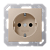 Jung Розетка с заземляющими контактами с защитой 16 А / 250 В~, А 500 шампань